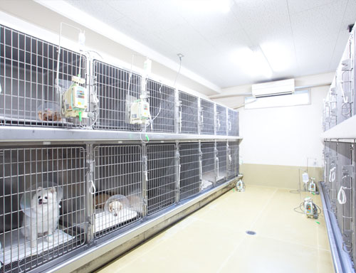 広島市 動物病院 預り犬管理ルーム