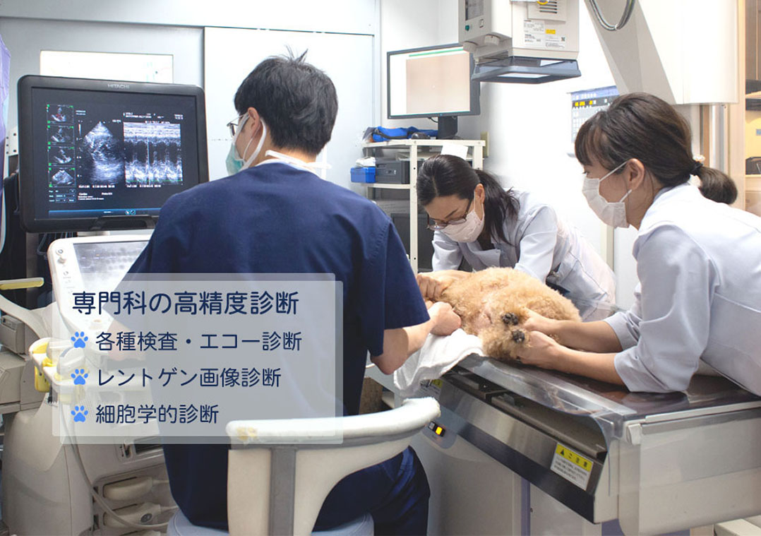 広島市 犬猫のペットクリニック ICU入院
